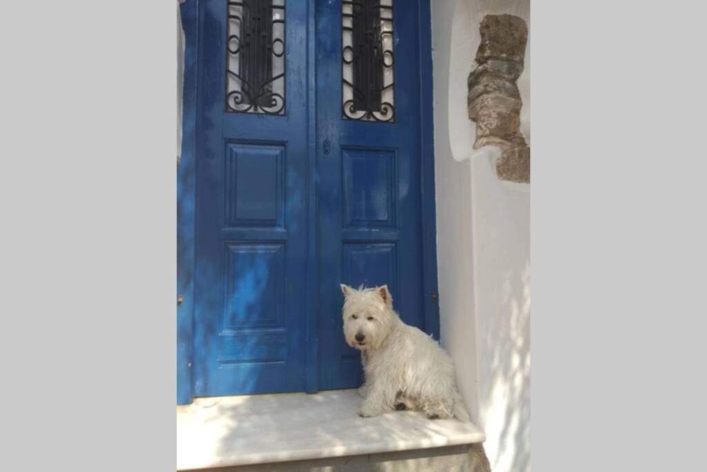 Вилла Blue & White: An Absolute Aegean Dream House Галини Экстерьер фото